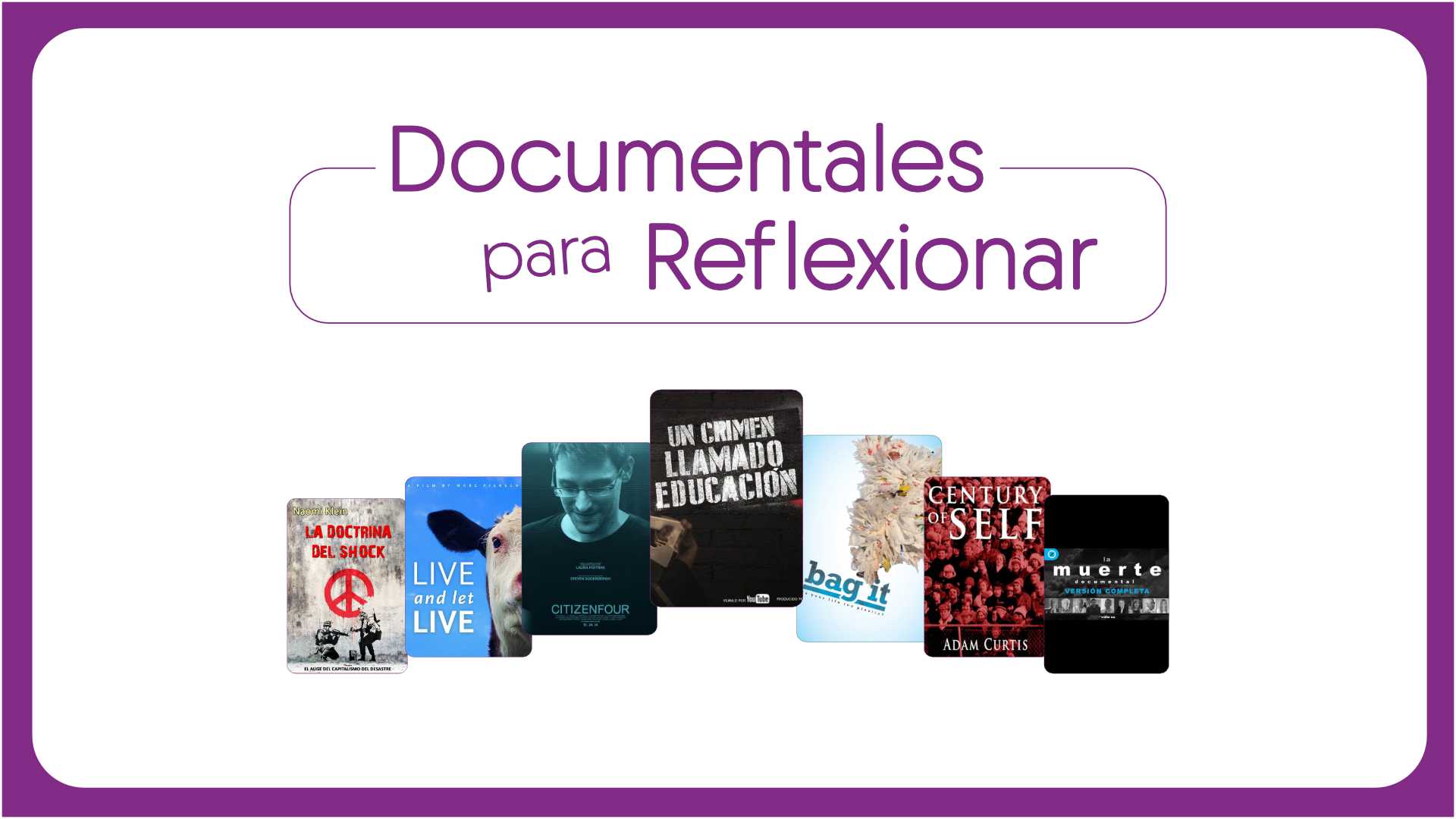 contenido seleccion 3