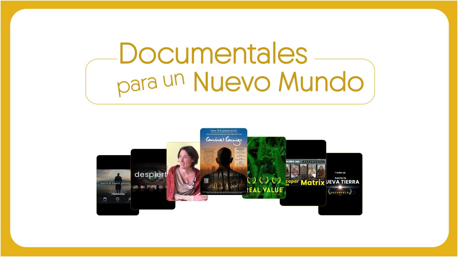contenido seleccion 4