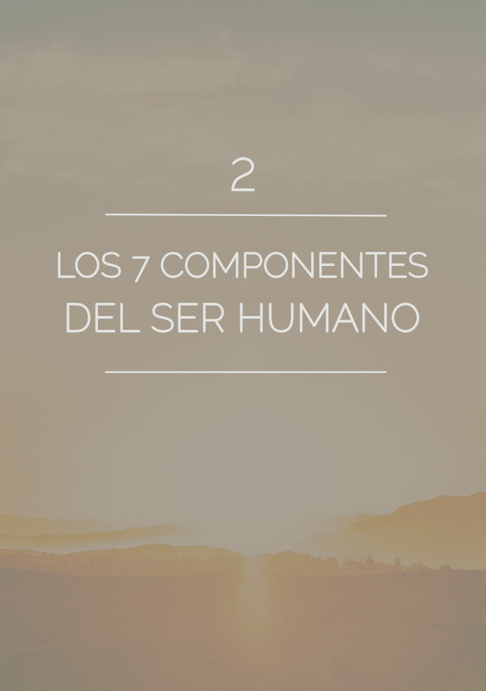 despertando portada 2