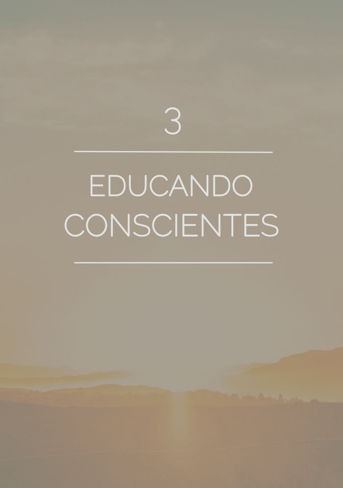 despertando portada 3