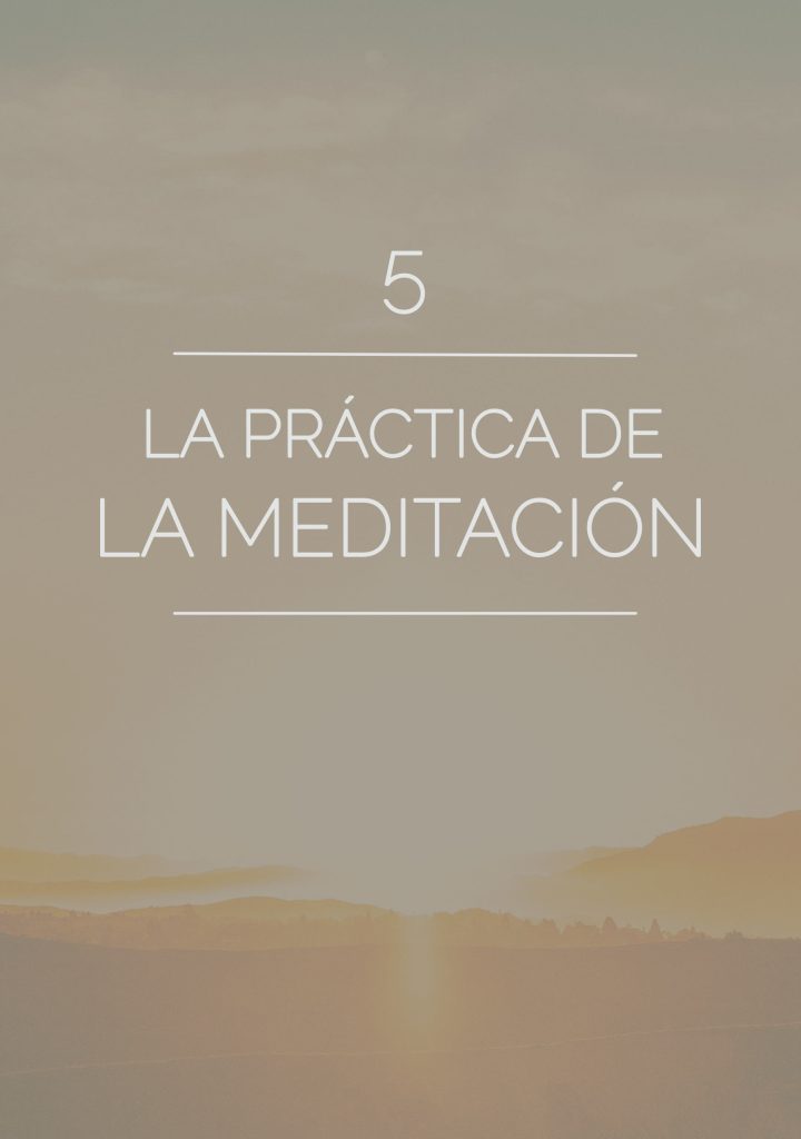 despertando portada 5