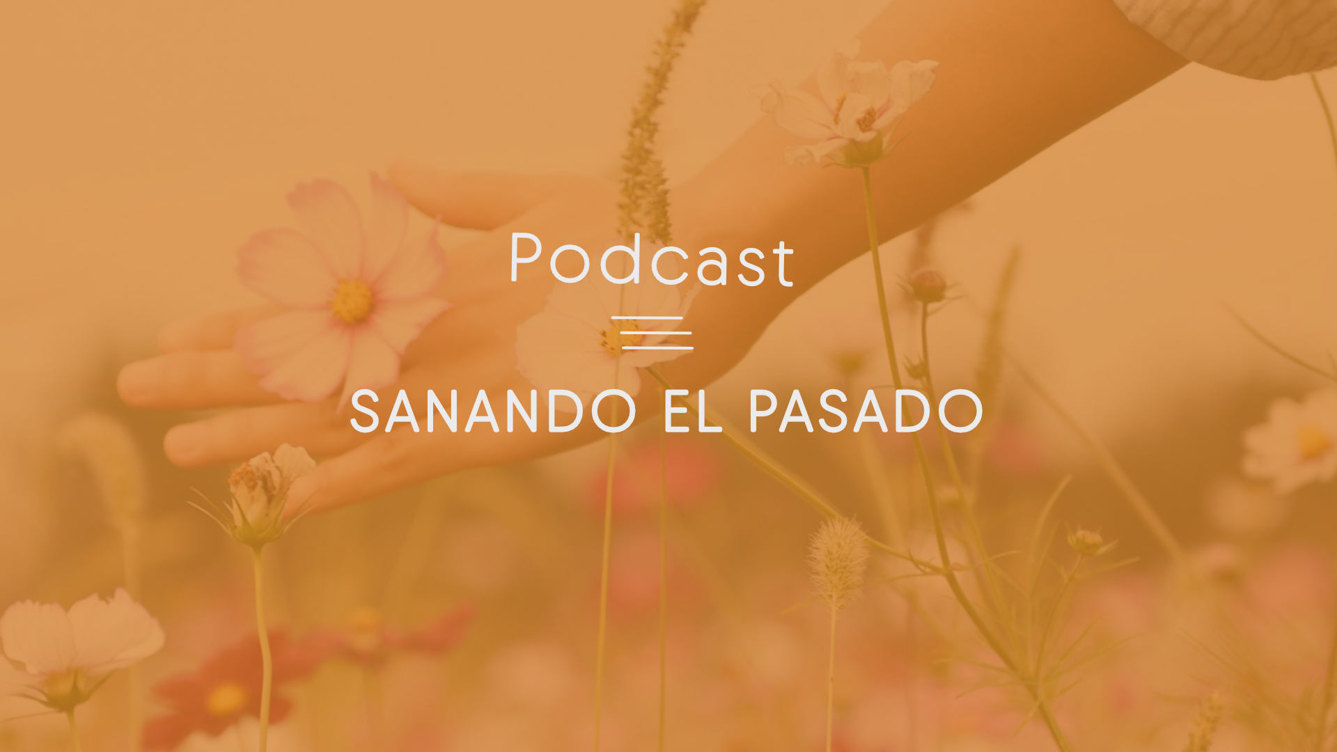 sanando pasado portada